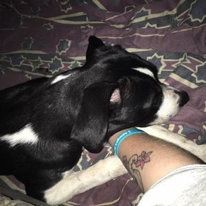 Meet your Posher, Billie jo